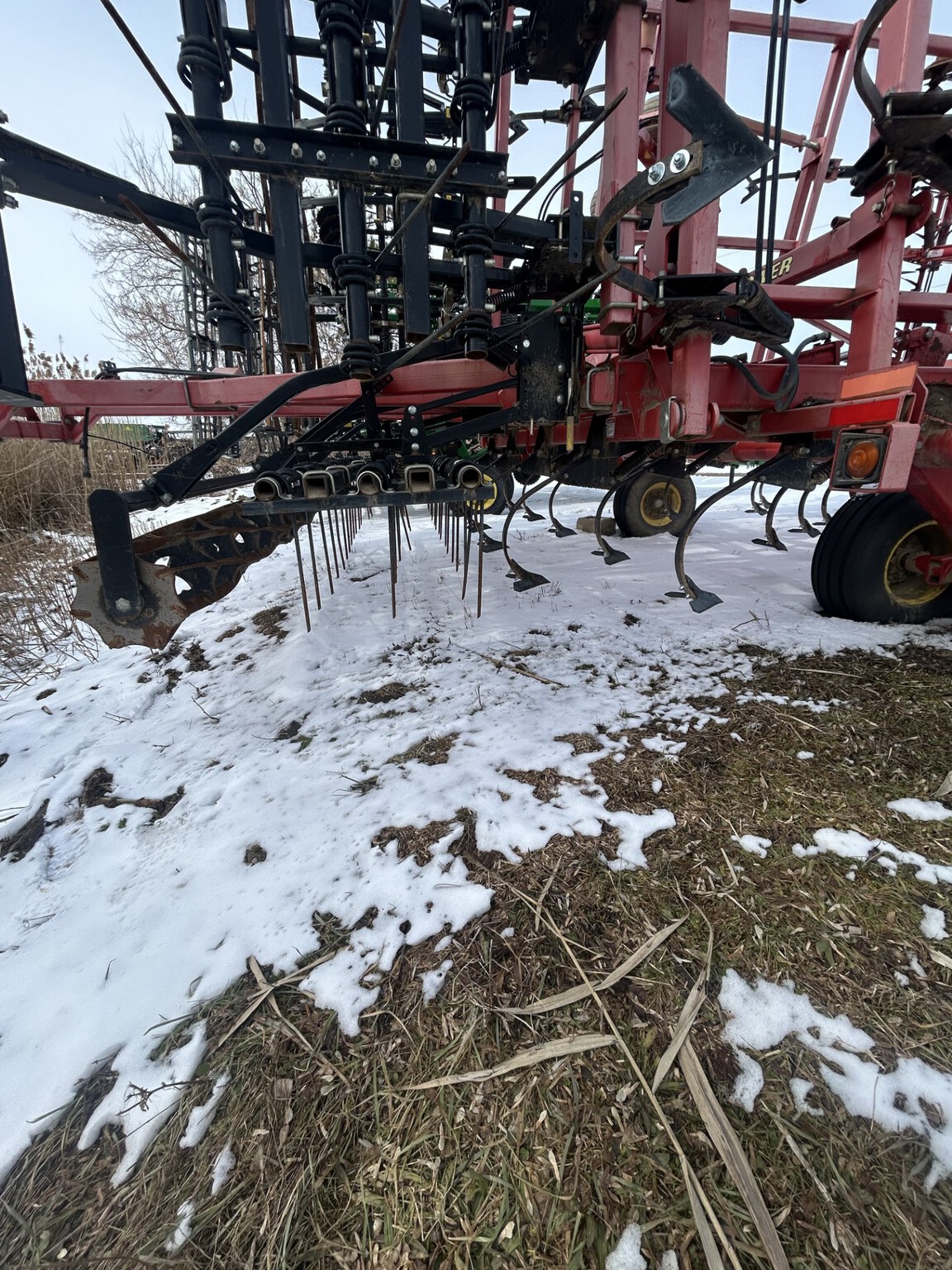 Sunflower 6333 Image 10