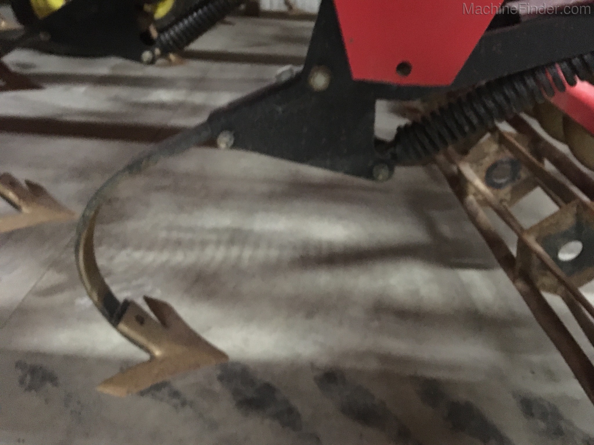 Sunflower 6433 Image 6