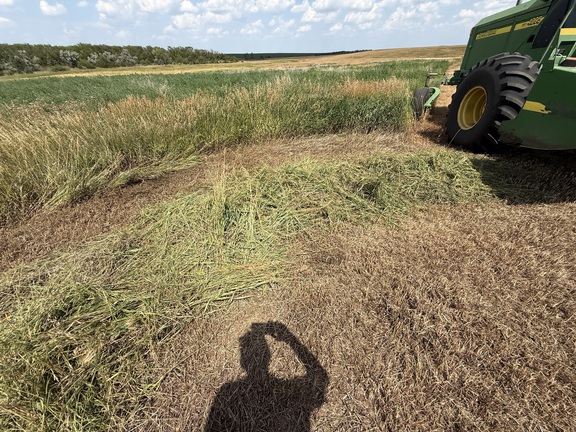 2009 John Deere 4995 (5th thumbnail)