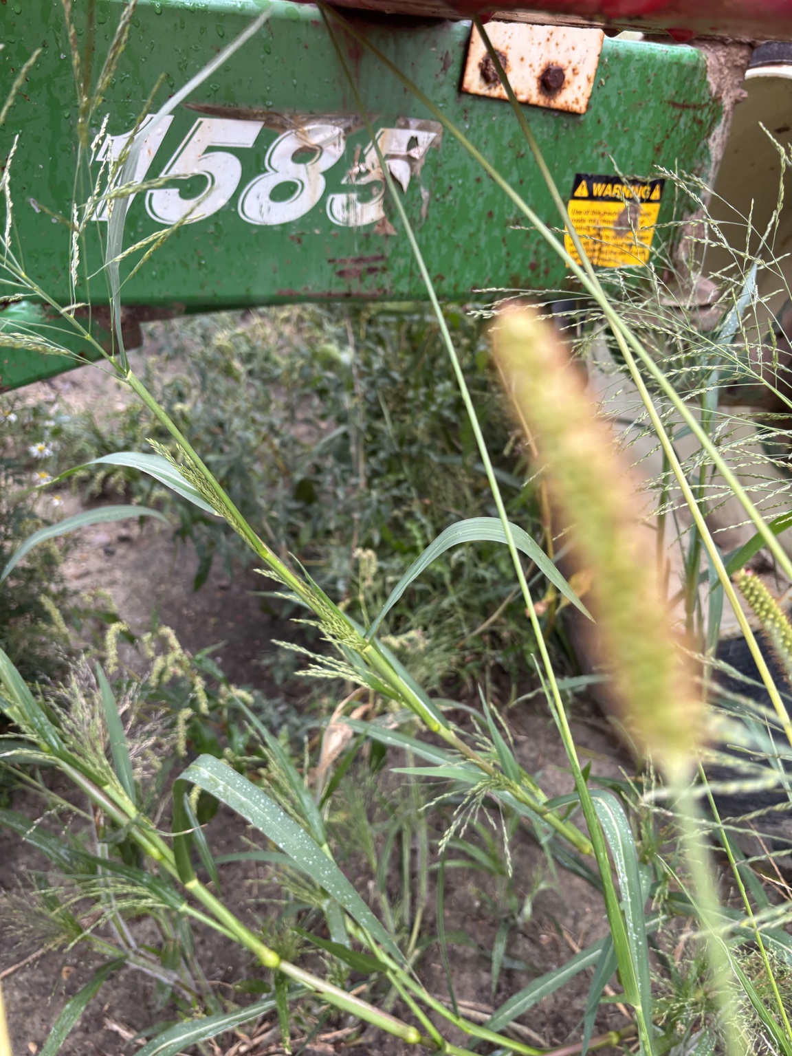E-Z Trail 1585 Image 1