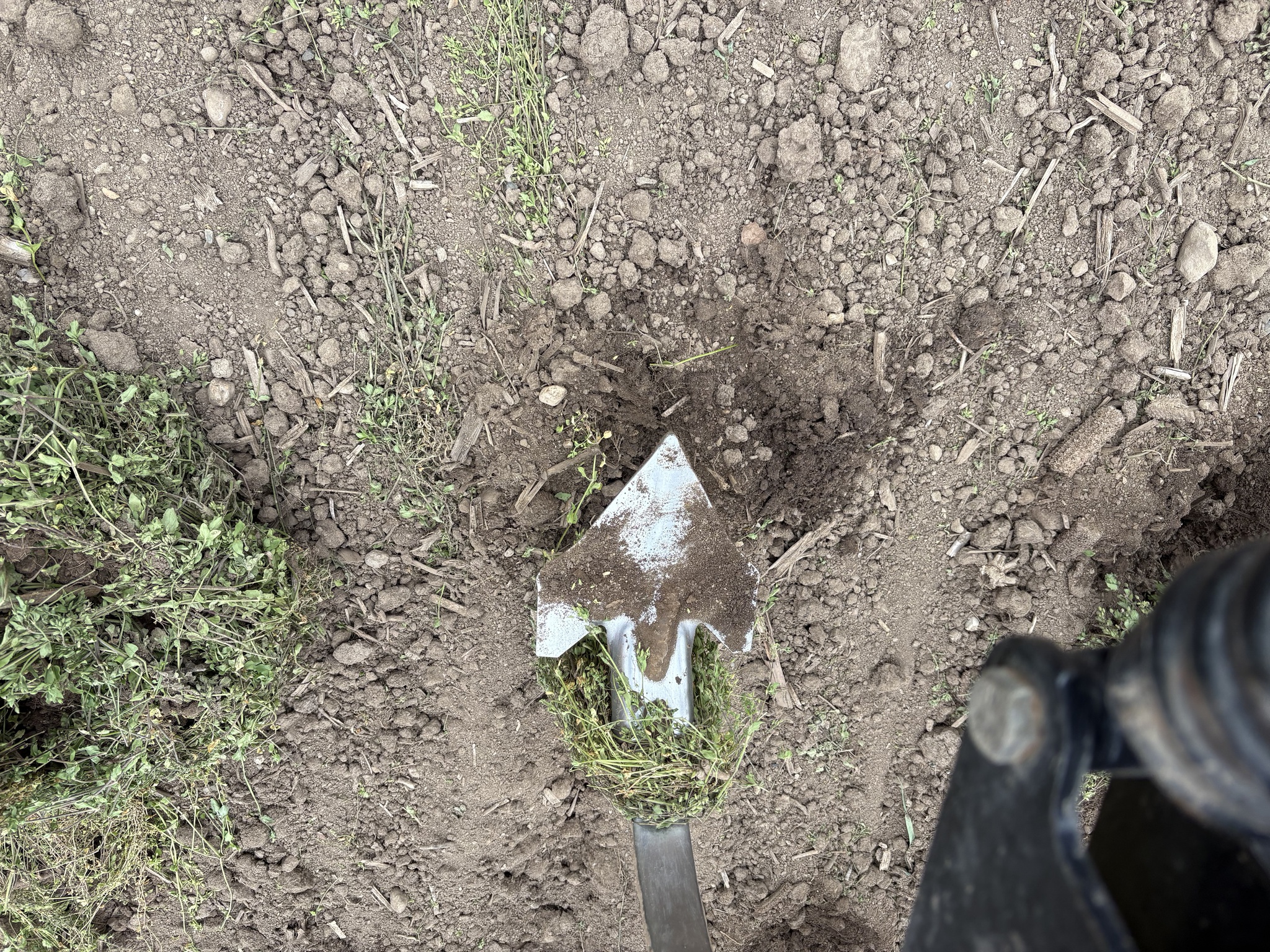 2016 Sunflower 5056 Image 30