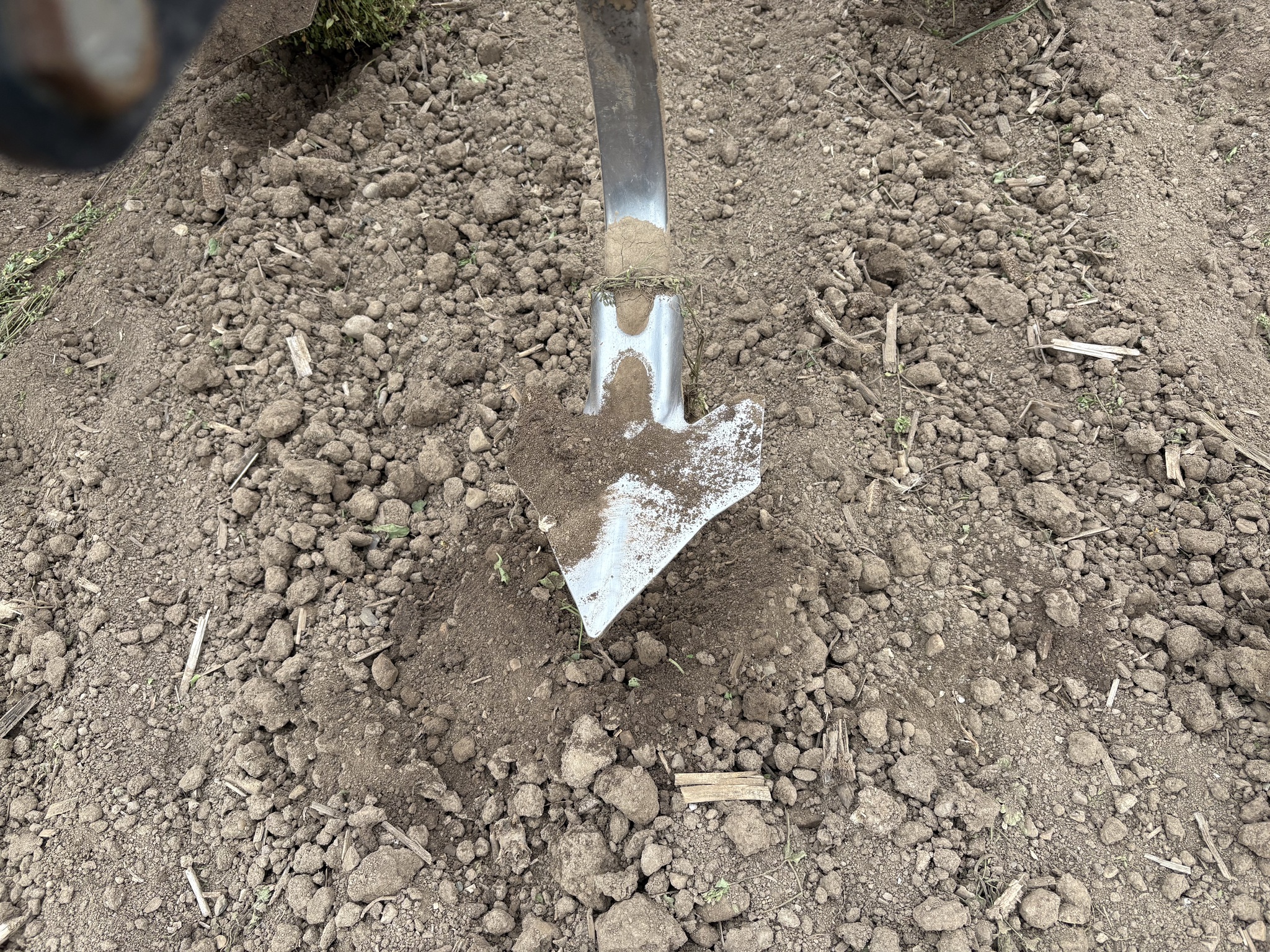 2016 Sunflower 5056 Image 29