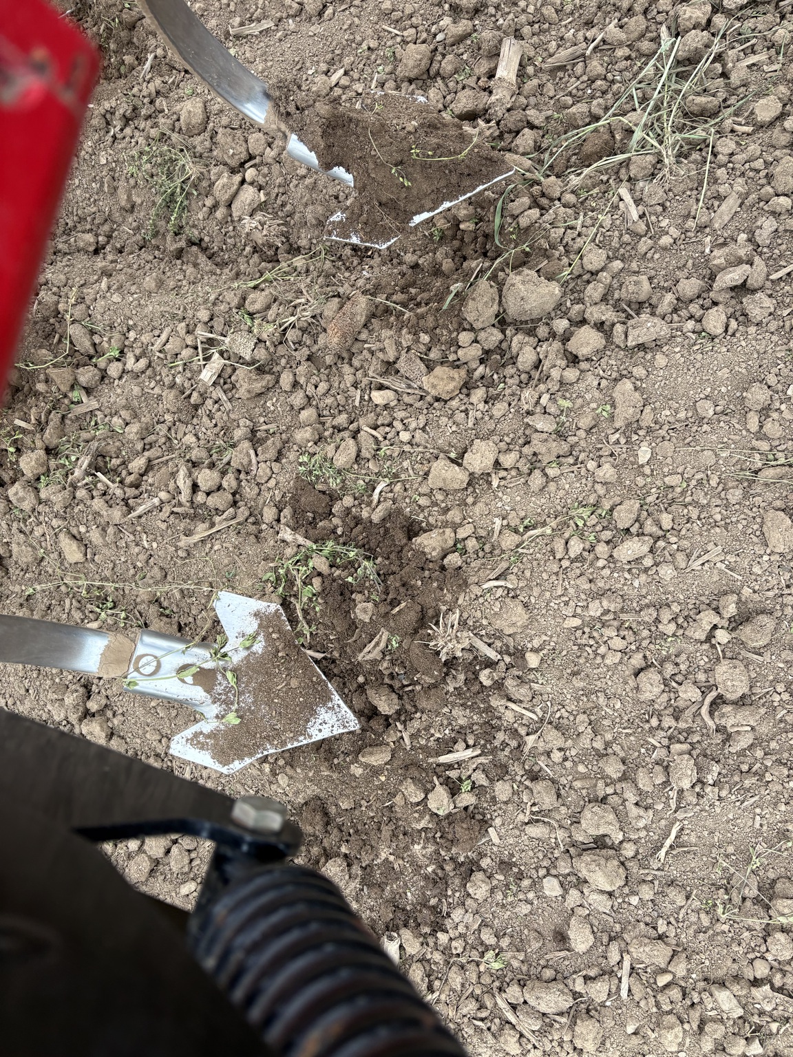 2016 Sunflower 5056 Image 32