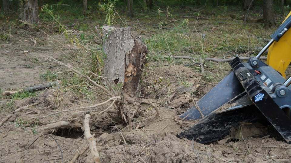2025 Blue Diamond Severe Duty Stump Bucket 102015 Image 2