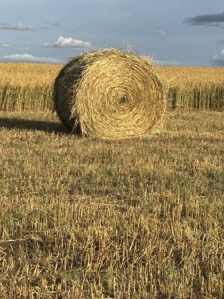 Used 2002 John Deere 567 Round Balers at Horizon Ag & Turf in St. Paul, AB - Photo5